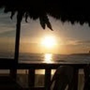 Meet your Posher, Dee dee